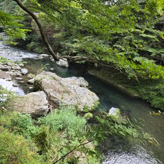 綺麗な流れ✨
清滝の秋も美しい🍁