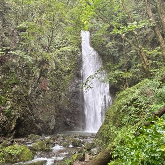 百尋ノ滝。水量が凄かった。雨上がりだから特に多かったのかな🤫