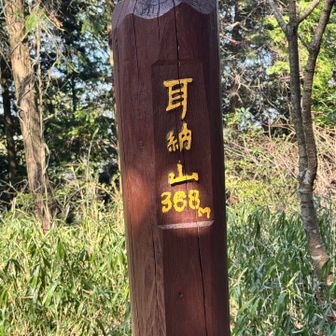 眺望はありません。残念。