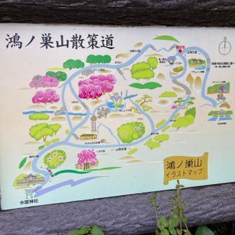 山背古道からさくら坂へ行きます