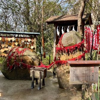 葛原岡神社⛩️
縁結びの石