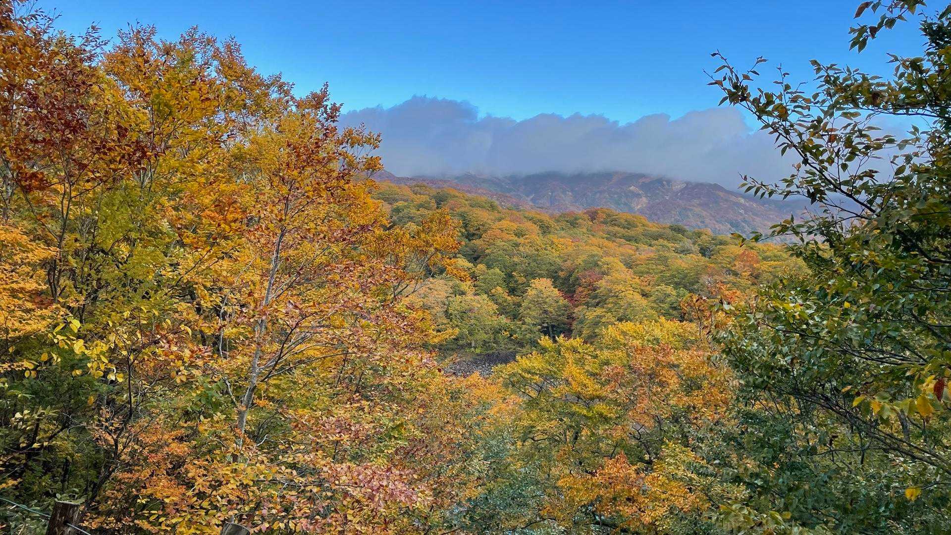 つぶ沼登山口-焼石岳 往復コースの写真