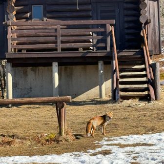 人慣れしてそうでした