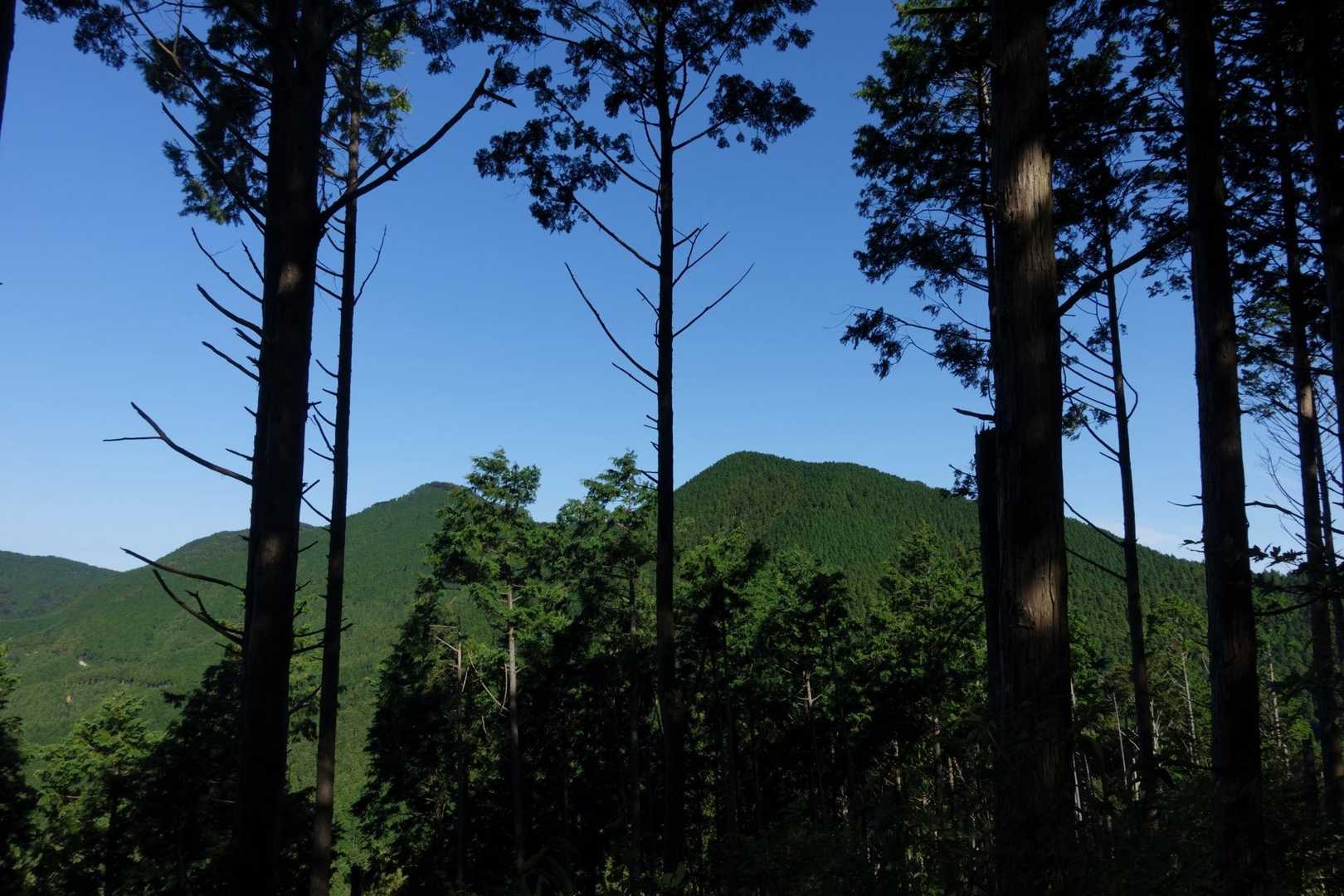 左が青滝山？