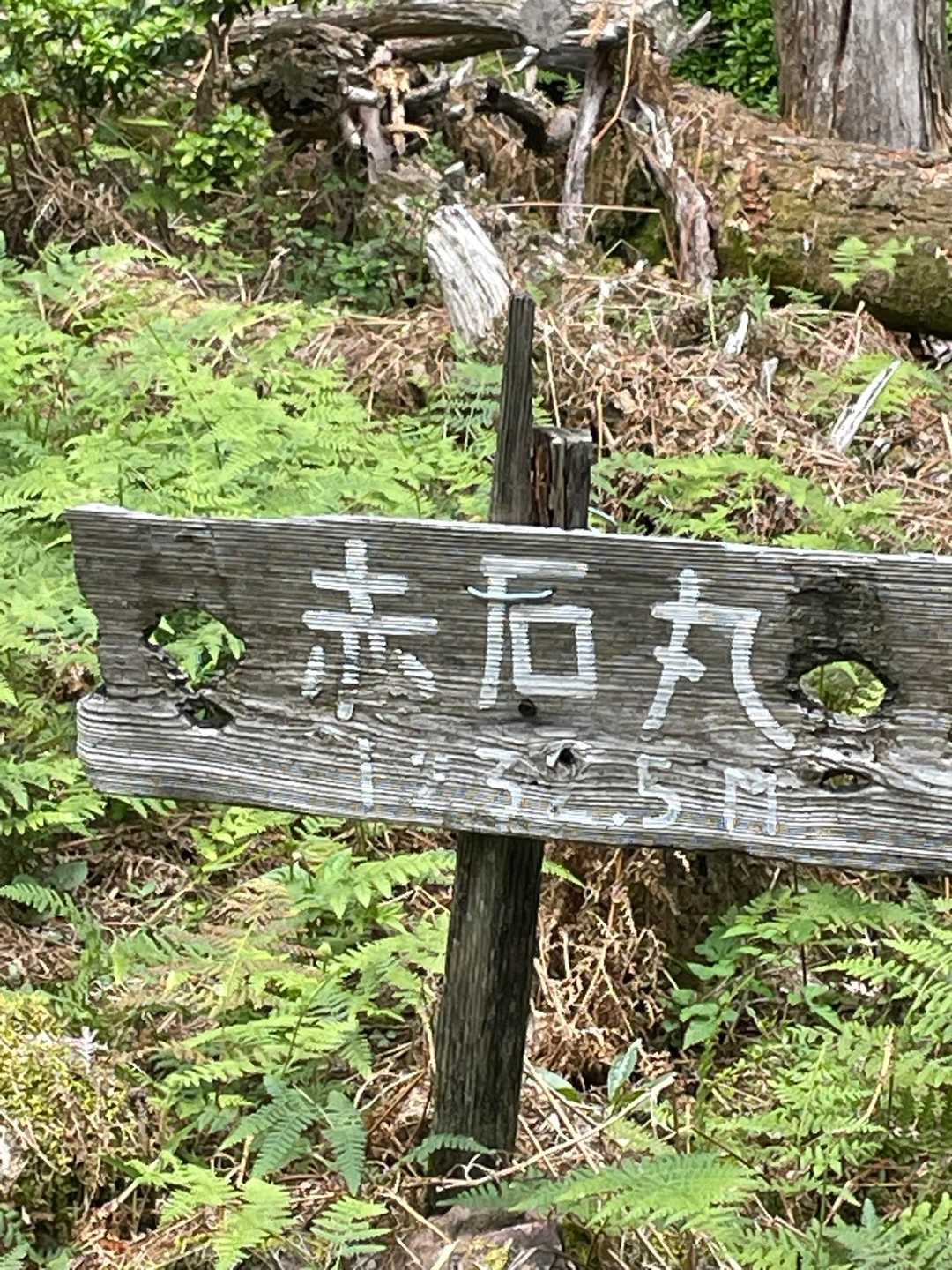 原因はたしかだ方向音痴になった、地図を頭に入れていた方角がずれた
