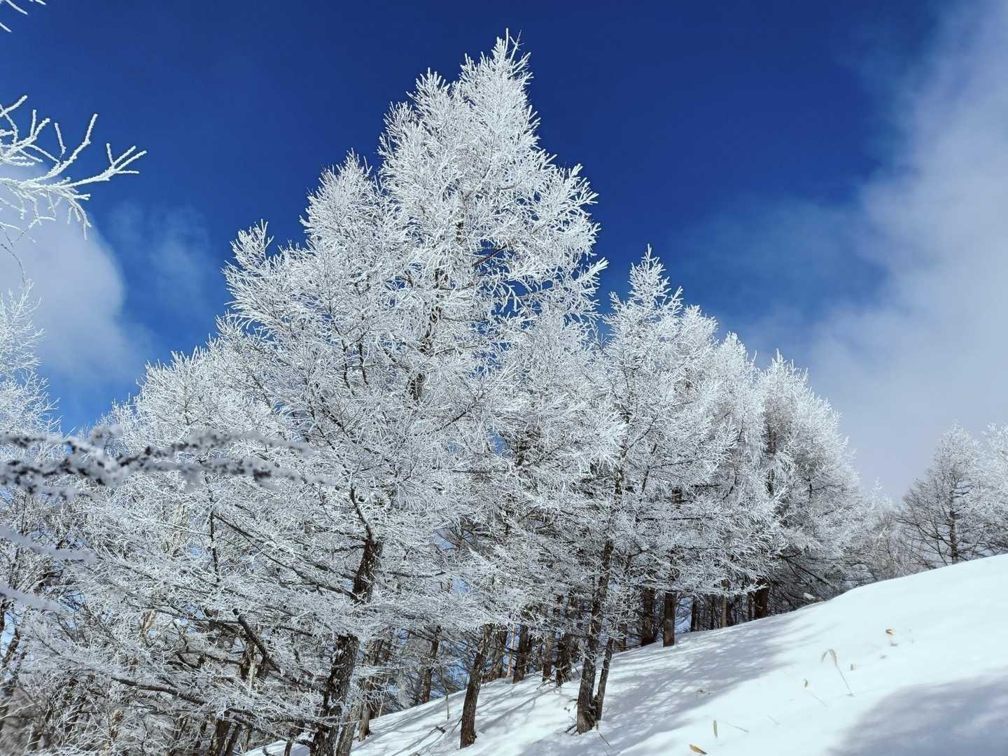 大泉山-経ヶ岳 往復コースの写真