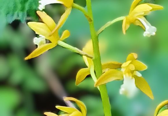 山キチ｜長野県の登山記録 | YAMAP / ヤマップ