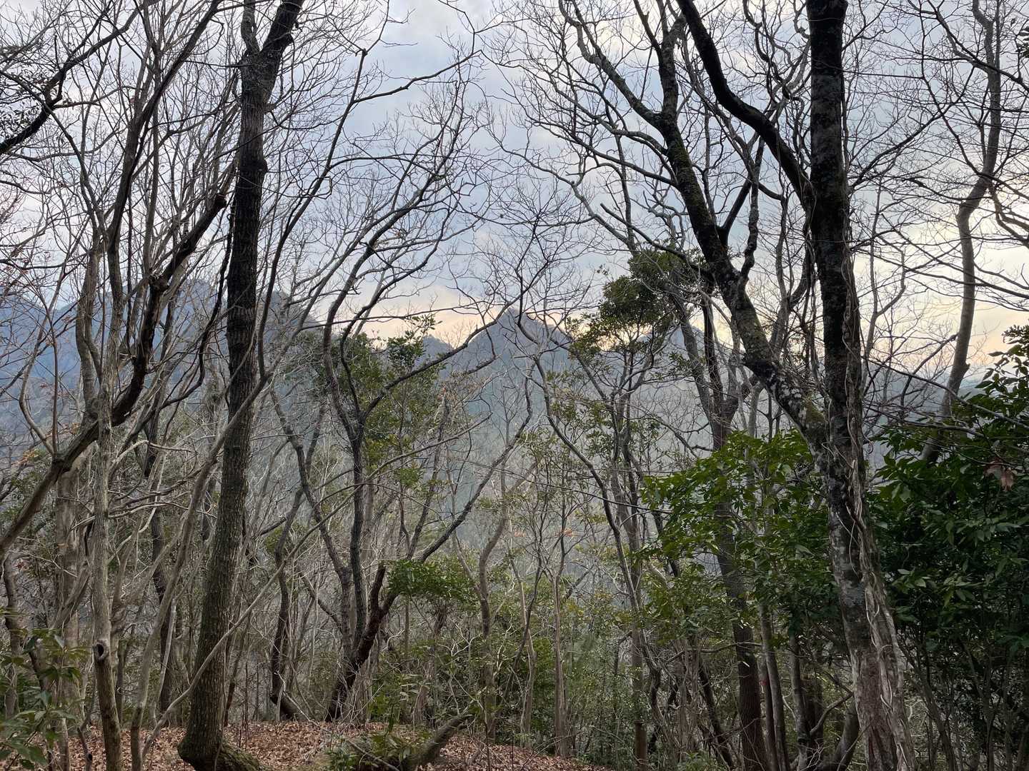 鹿嵐山方面