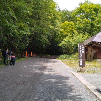 大清水からシャトルバス　時短できました