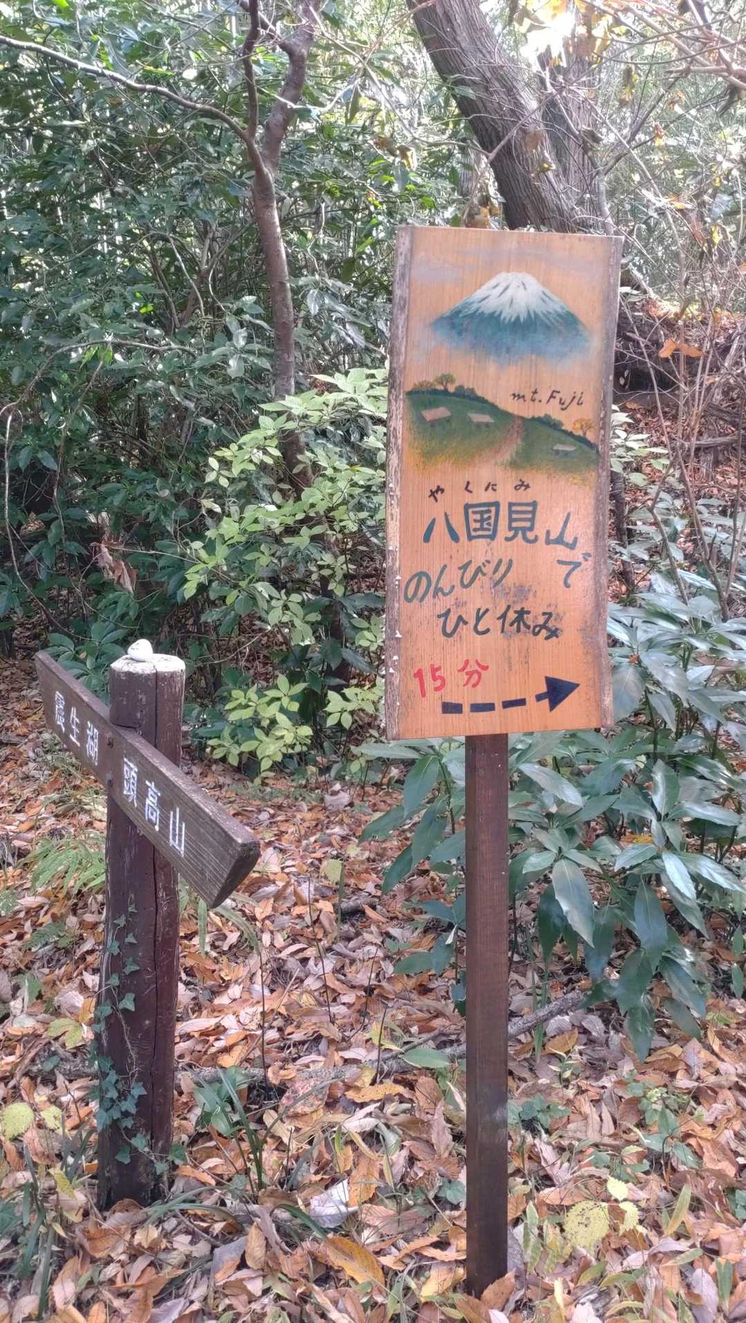 お！富士山見えるのか？