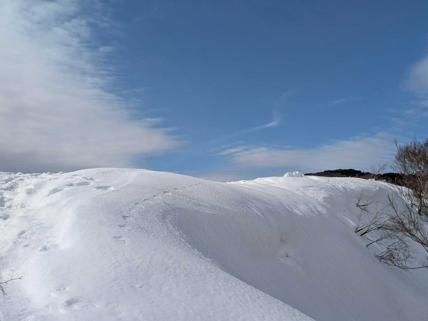 極上クリームの上に西山山頂