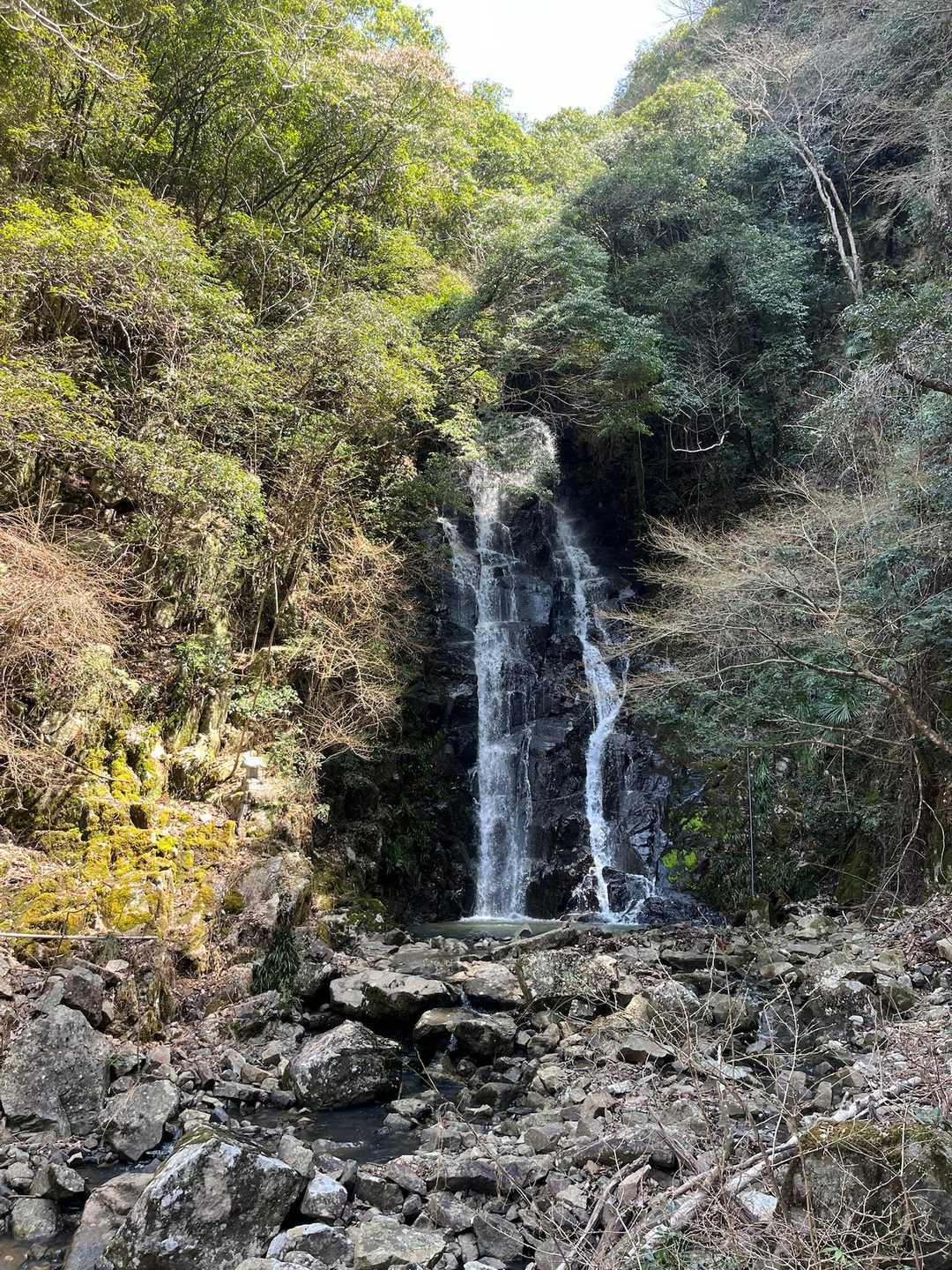 初っ端から道を間違えて滝まで来る。
無理矢理キツイ斜面を登って、登山道に復帰して体力半減😞