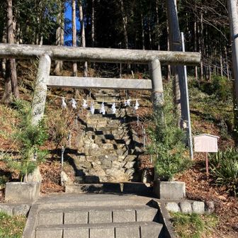 いきなりこの石段