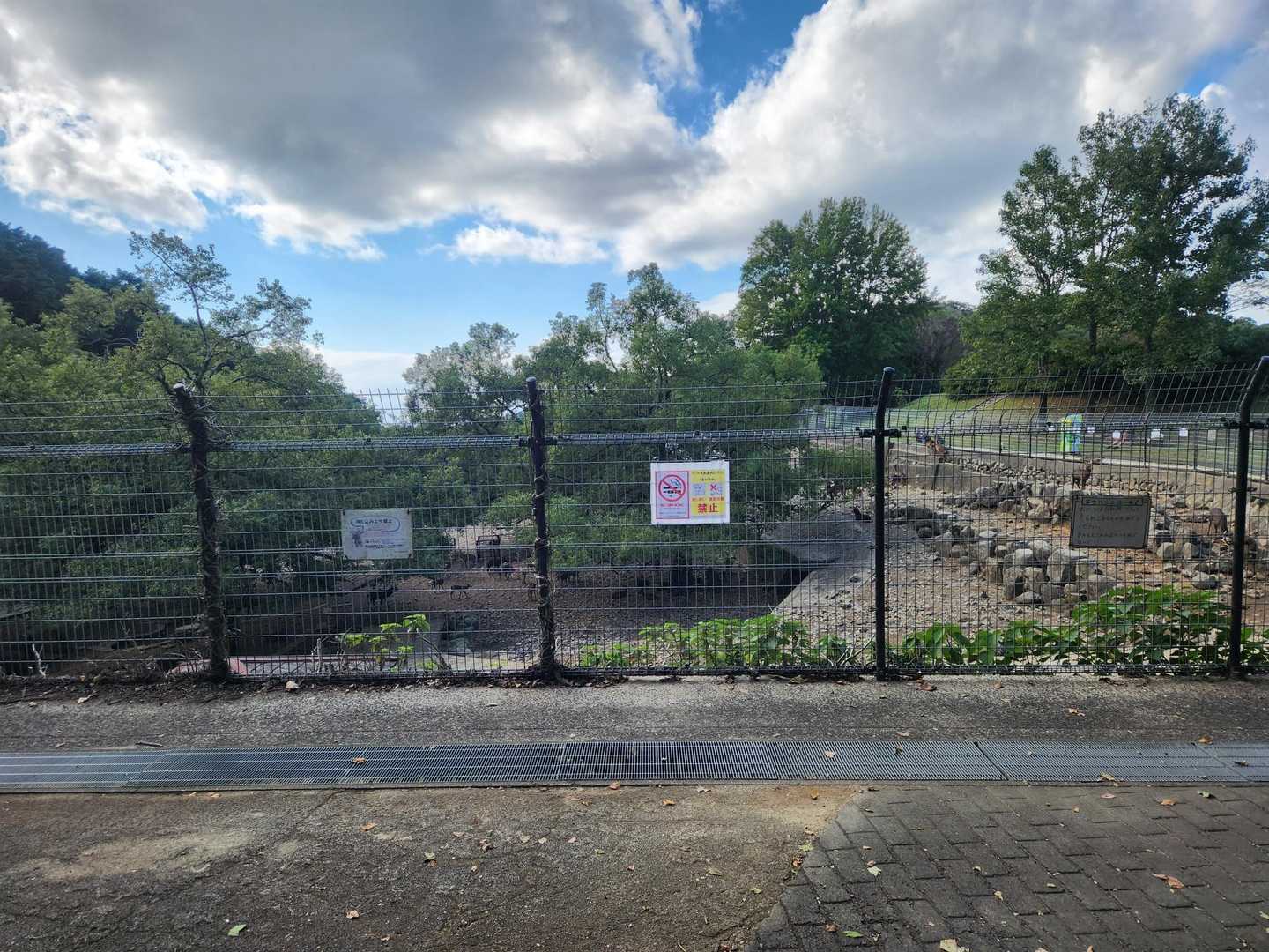 稲佐山公園には鹿がいるんですね！餌やりしたかったけど子供達優先です😂大人気でした🤗