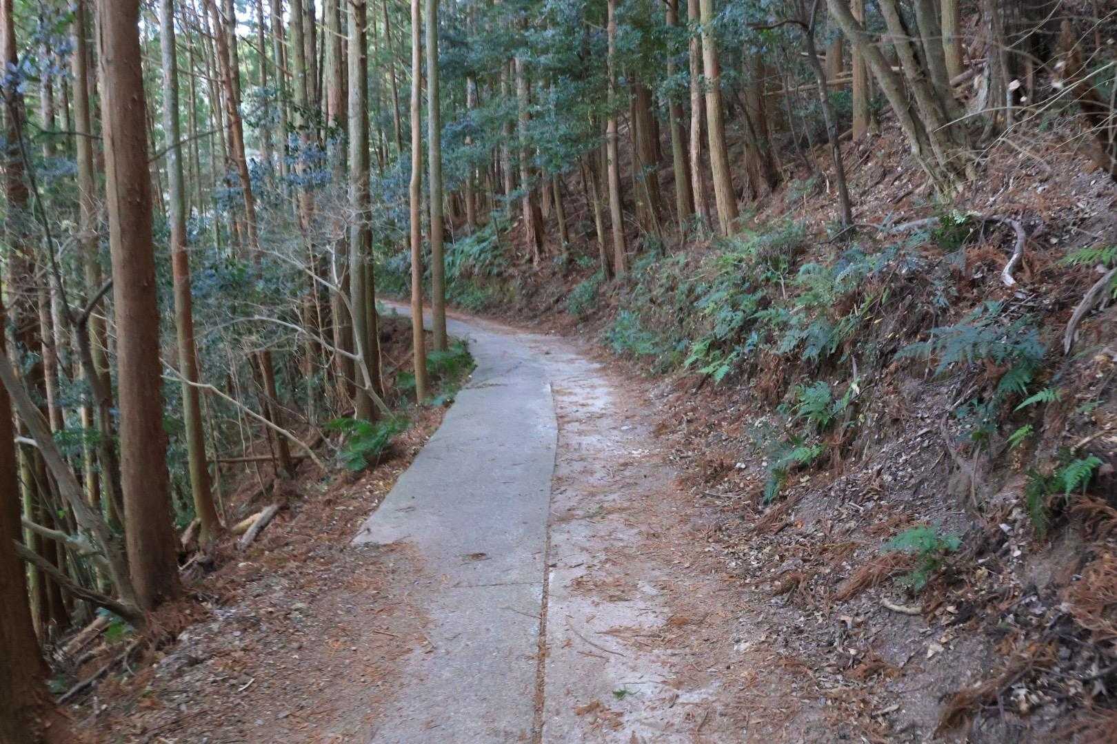 2回目のなのに道を全然覚えてないぞー