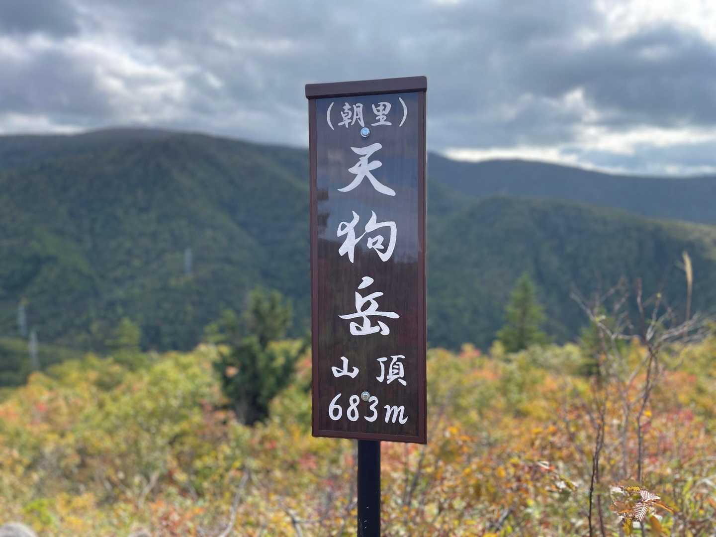 登頂🪧