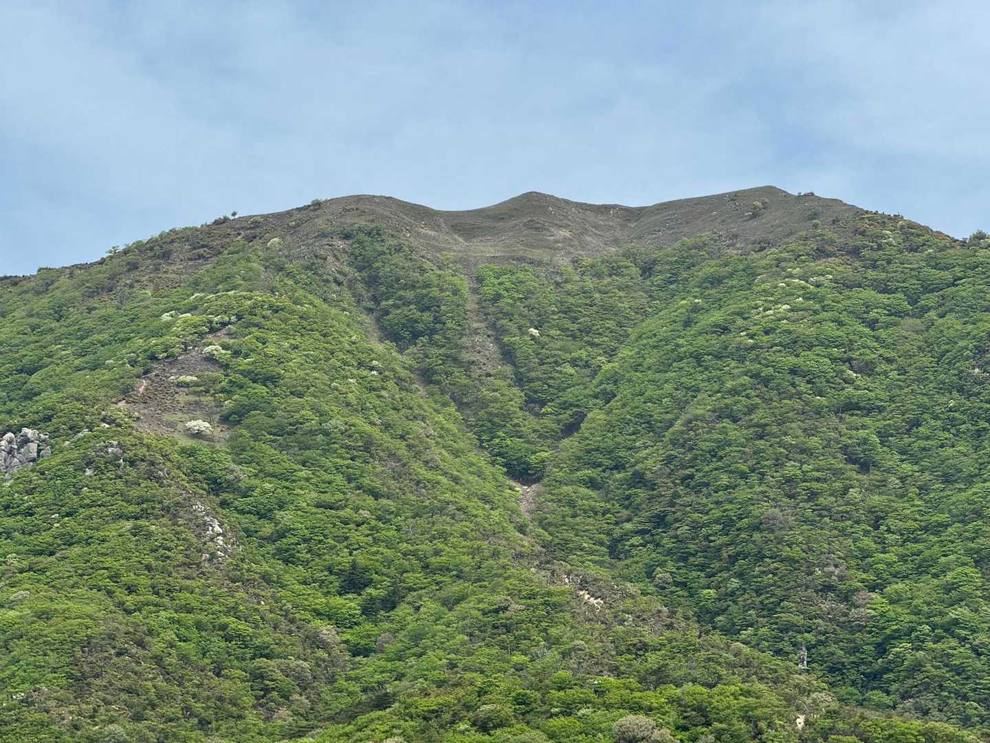 石榑峠-三池岳 往復コースの写真