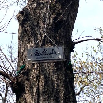 ゼロ磁波を探してうろうろ