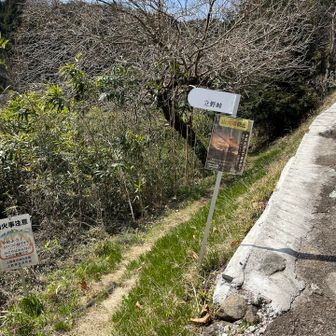 登山口まで降りた