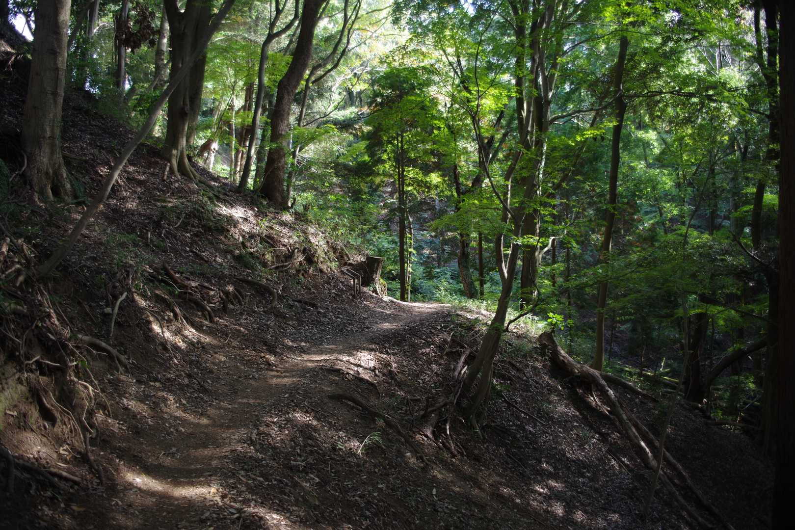 新神戸駅-滝山城跡登山口-城山-再度山-再度越 周回コースの写真