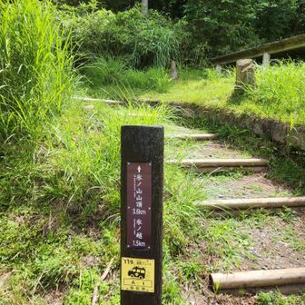 比較的初心者向けという事でこちらの氷ノ越コースを選択。
登山口がキャンプ場の奥にあったため少し迷いました。