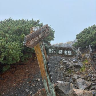 赤石小屋分岐