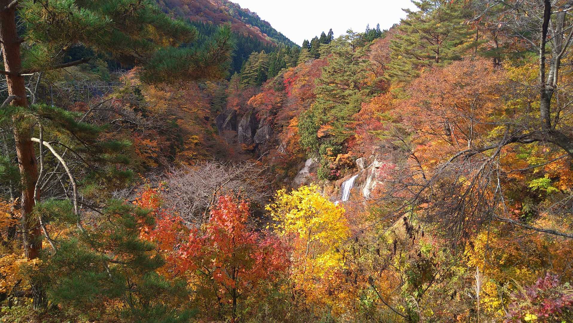 紅葉川渓谷🍁