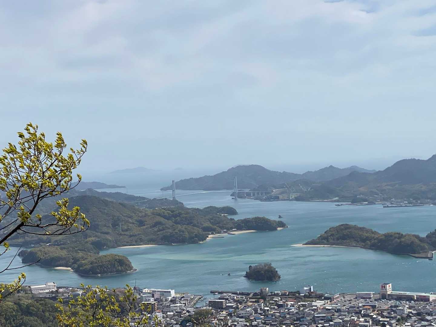 奥山登り口　-大山峠-大山-青影山 往復コースの写真