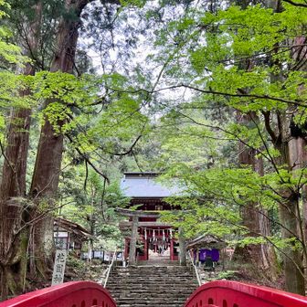 花園神社⛩️からスタート