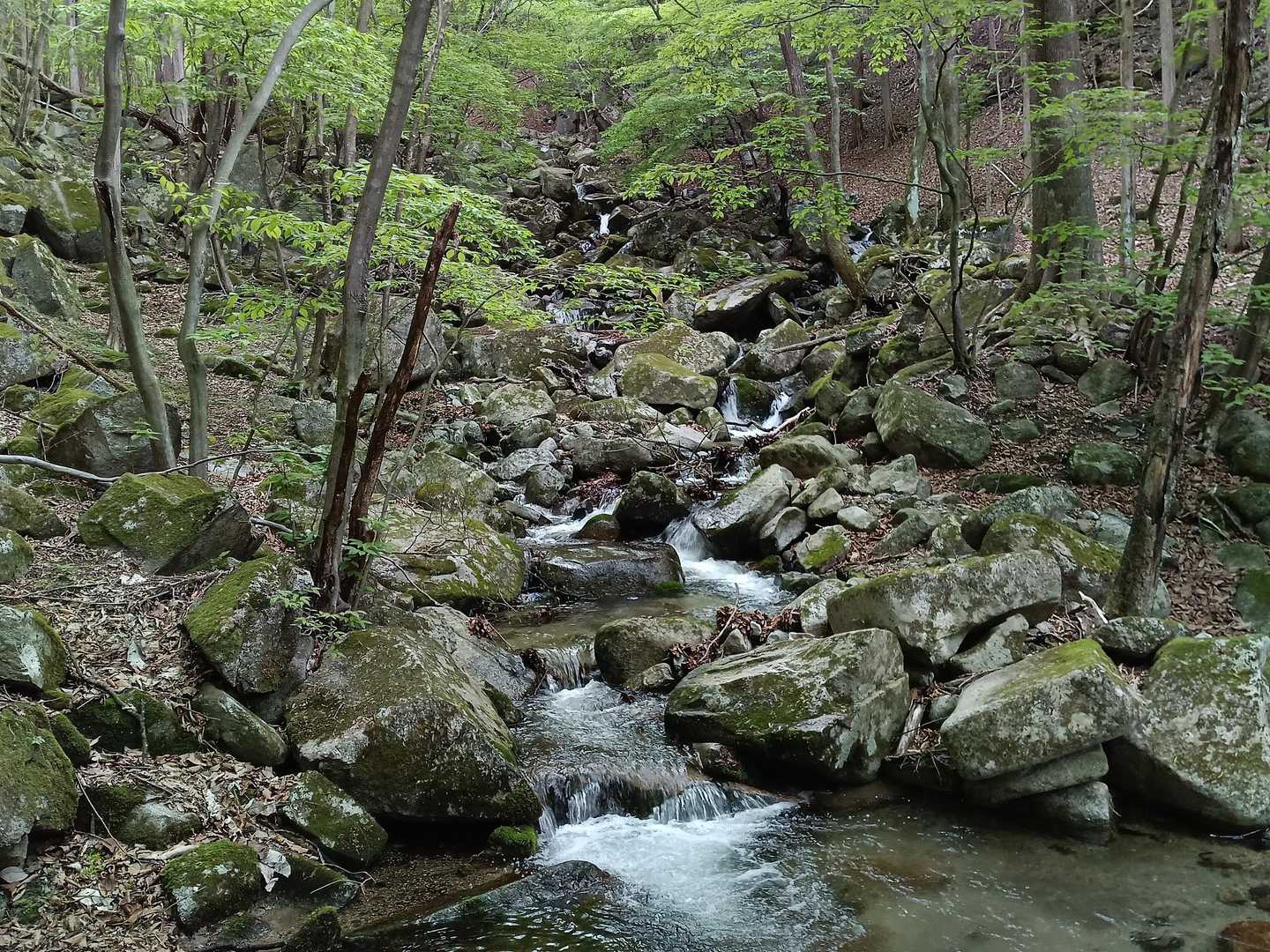 このコースは美しい渓谷に沿って進みます