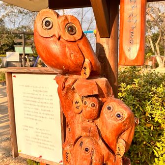 はぶちゃんファミリー