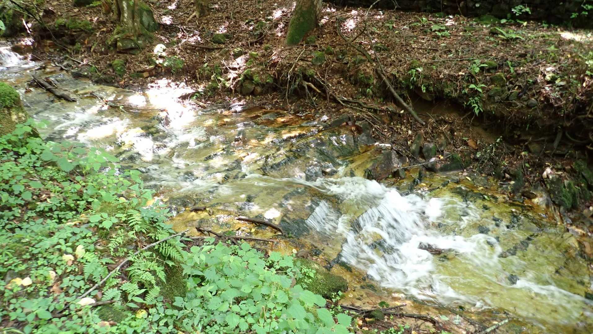 川沿いの道