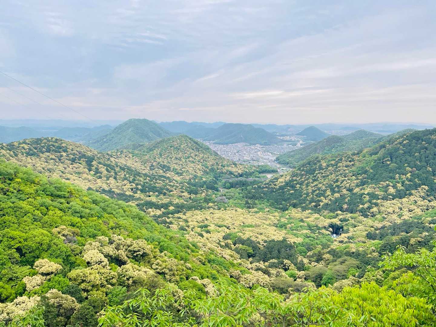 つぶらジイ👴だぜ金華山 / ヒロの登山データ | YAMAP / ヤマップ