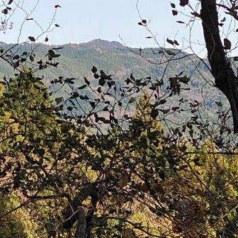 アップ。竪破山の最高部の展望台と神社のある部分がよくわかります。