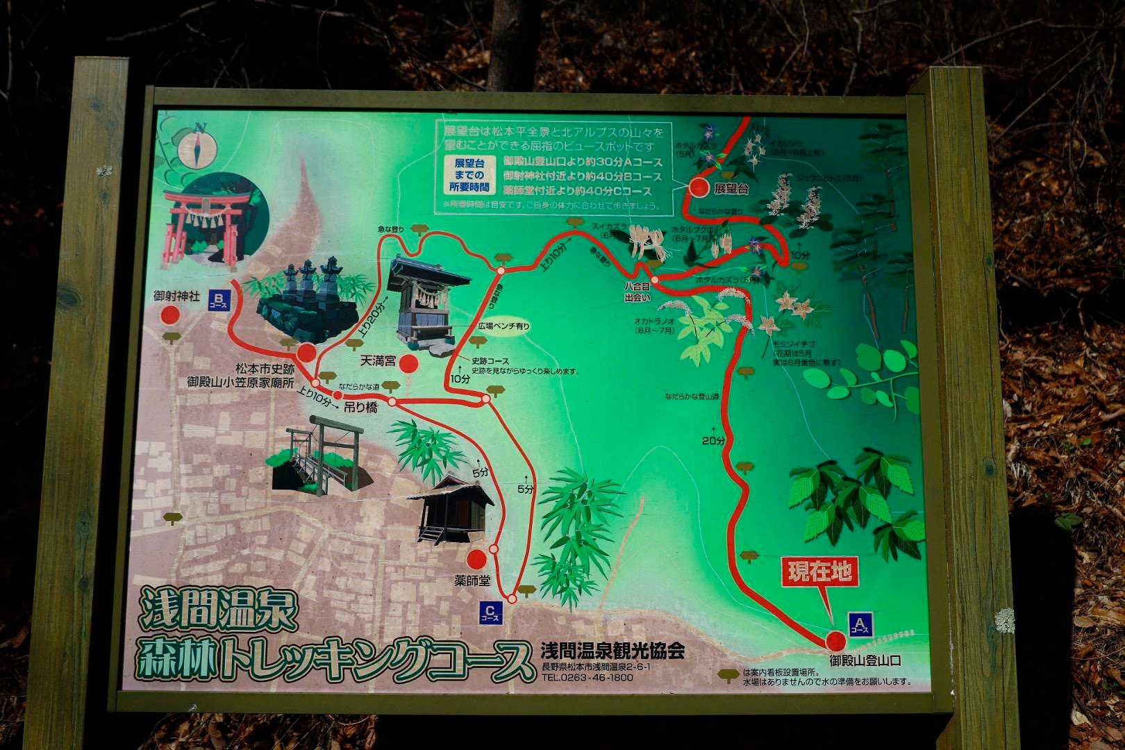 とっても整備された良い山であったが、ナマリの体のせいで辛かった😂