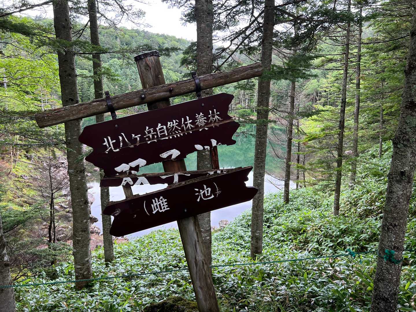 反対側にも双子池