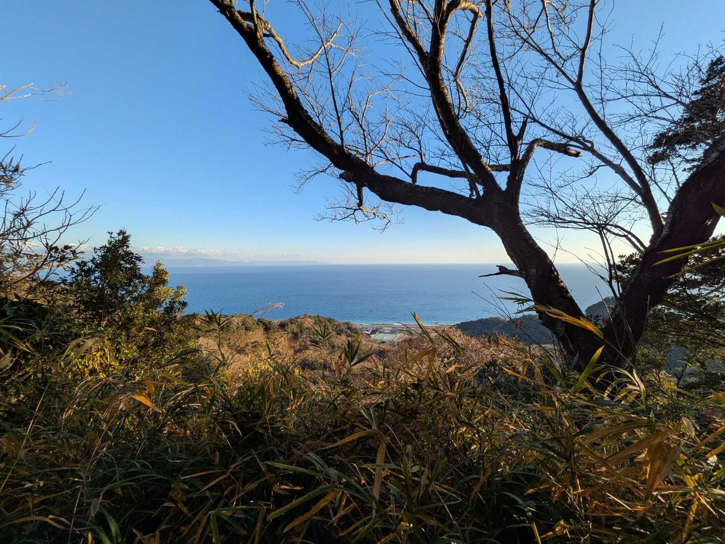 有度山登り口-有度山-日本平 往復コースの写真