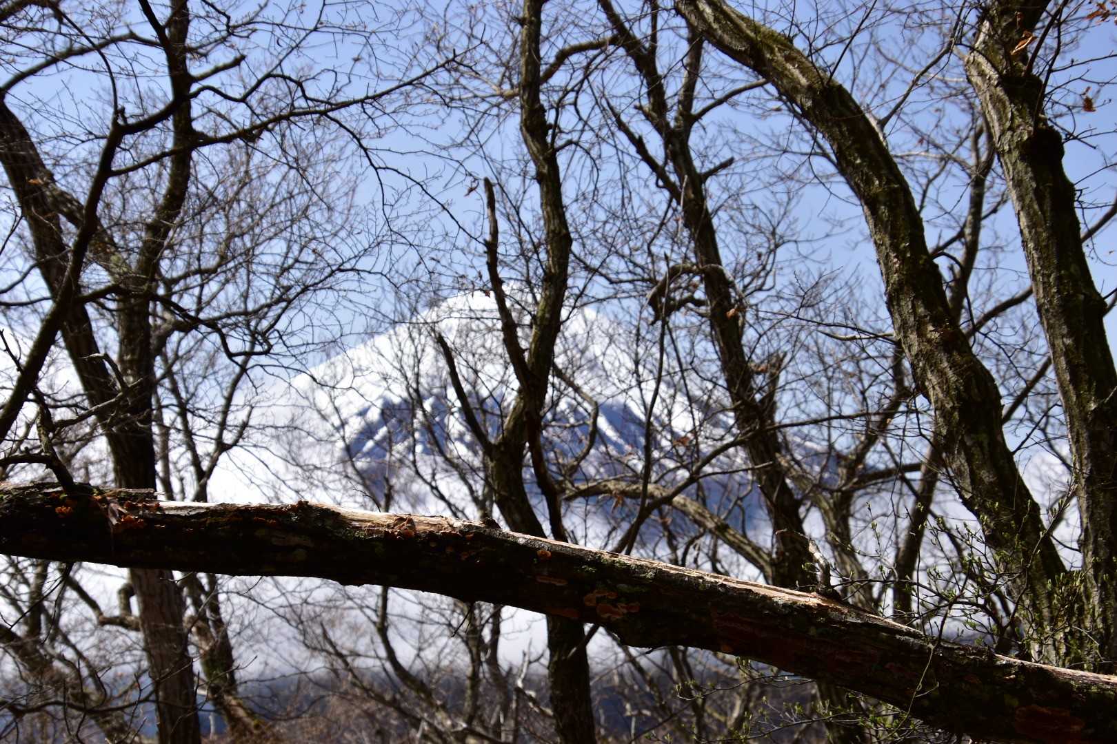 振り返るとラスボス❗️😁
駅から登山口まで朝まで降った雨のおかげでガッツリ雲ってたのでテンション上がります❗️😁