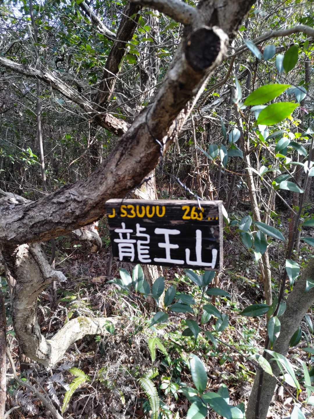 龍王山　到着🤗