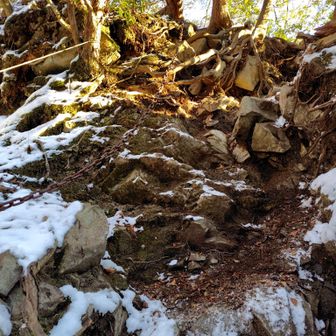 沢に下りる手前にちょっとした鎖場⛓️