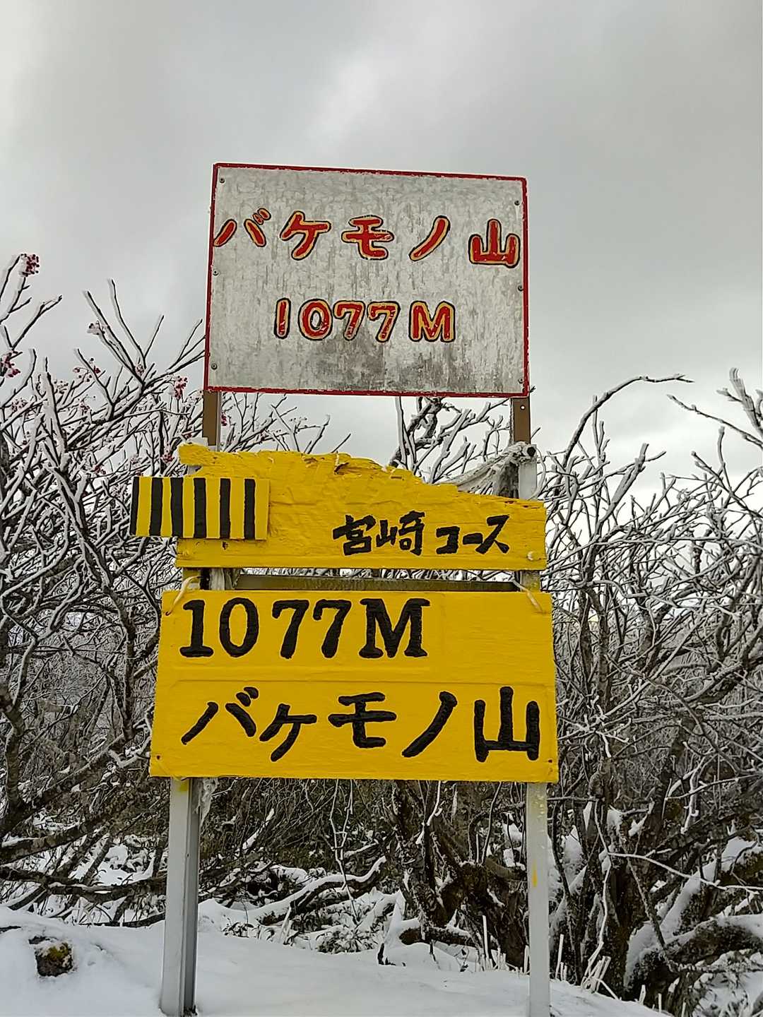 宮崎コースって！なんだろう❓️