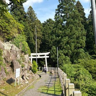 登山道へ戻ります🚶🏻