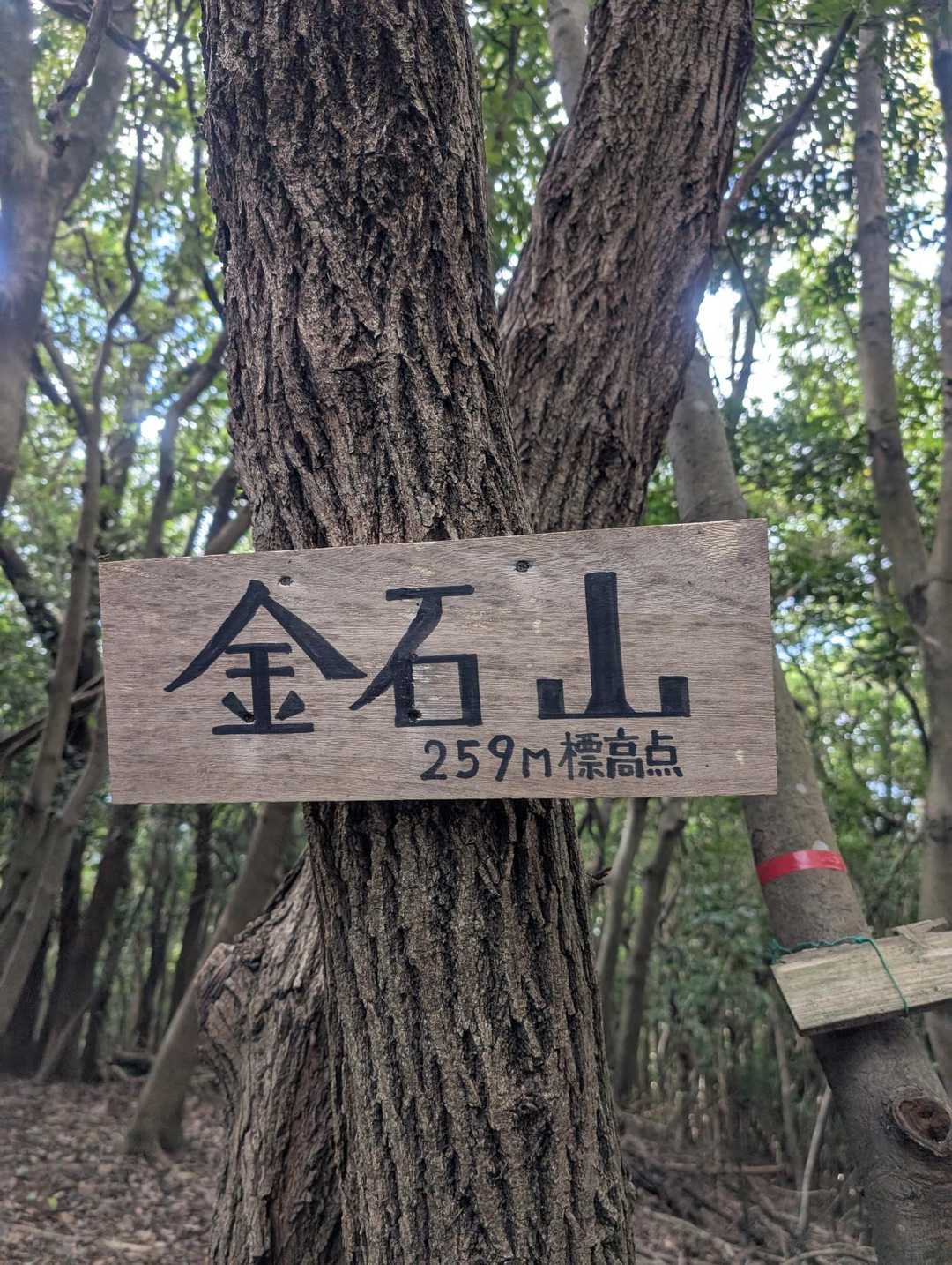 金石山山頂✨