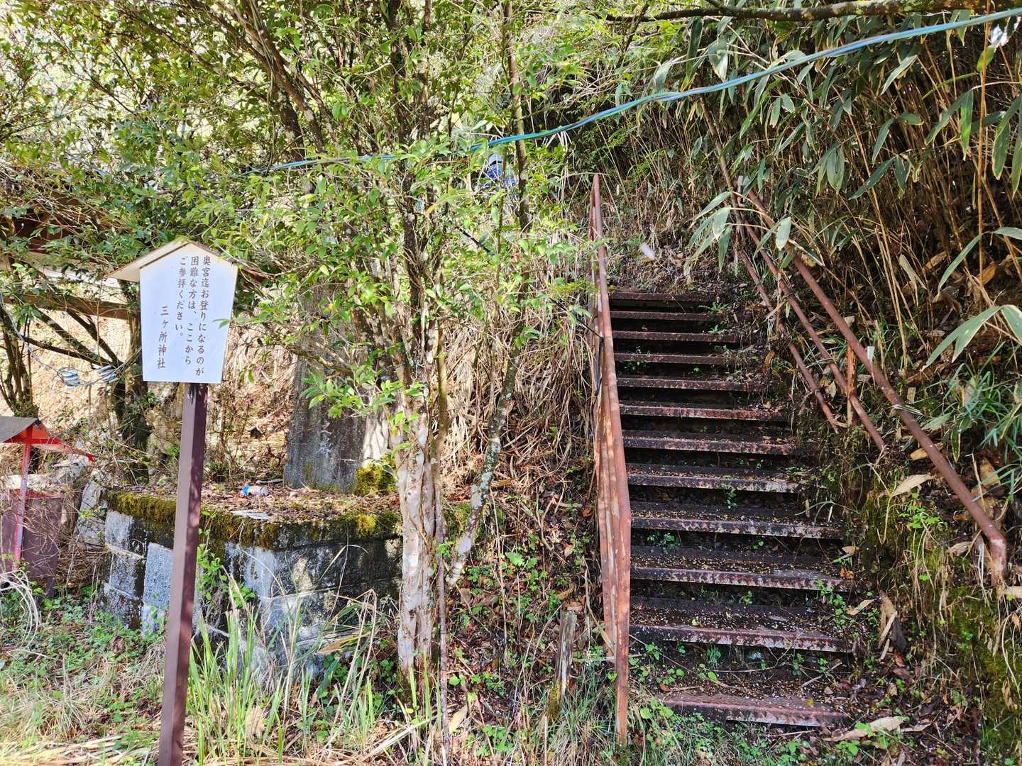 この階段を登らずに、左の山の道なき道を行ってプチ遭難しかけたのは何故だろう😔