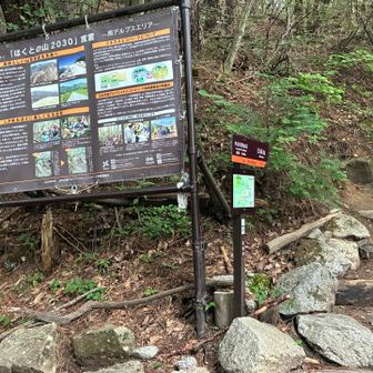 駐車場から50分ほどで矢立石登山口．ここまで林道を車で上がってくる方が多いようでした．
