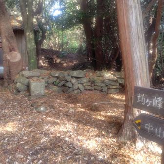 坊ヶ峰。小さいアップダウンに体力削られます