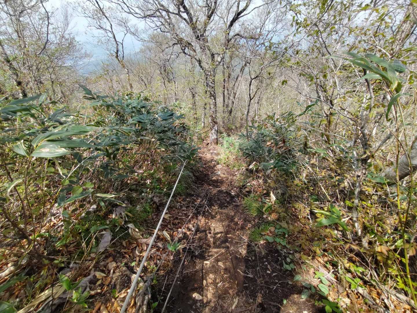 コワ坂を下ります