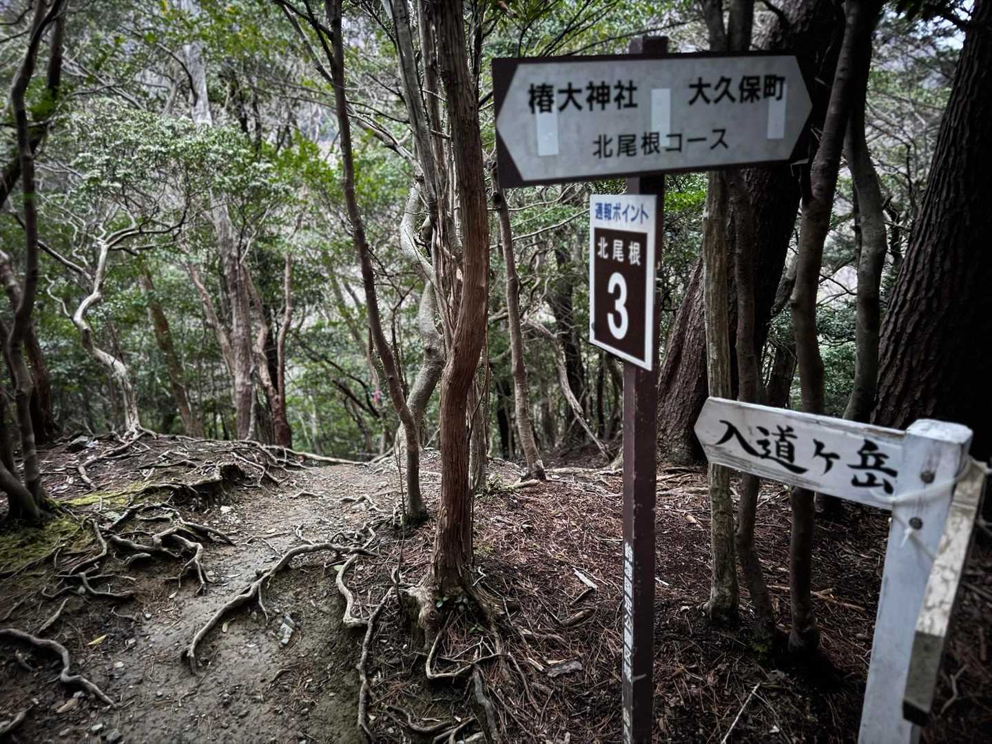 ここは一旦登り切ったところだったからかかなりの強風でした。山頂の強風は間違いなさそう。