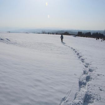 あっという間だね