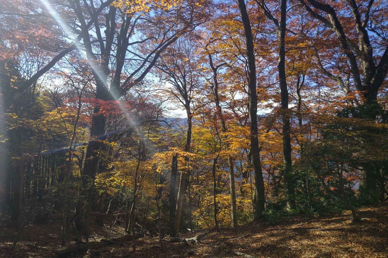 名郷バス停-鳥首峠-天神山-ウノタワ 往復コースの写真